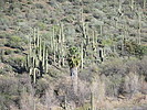 photo thumbnail #13