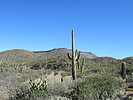 photo thumbnail #15
