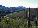 photo thumbnail #4