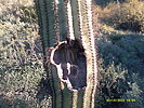 photo thumbnail #3