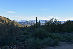 photo thumbnail #4