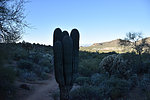 photo thumbnail #5