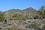 photo thumbnail #7