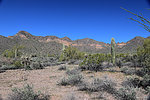 photo thumbnail #2