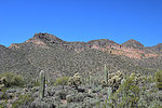 photo thumbnail #3