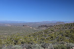 photo thumbnail #4
