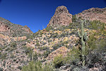 photo thumbnail #8