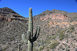 photo thumbnail #9