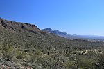 photo thumbnail #10