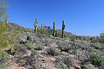 photo thumbnail #1