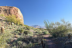 photo thumbnail #3