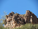 photo thumbnail #4