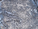 photo thumbnail #14