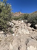 photo thumbnail #9