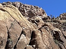 recent photo