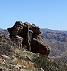 recent photo