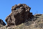 recent photo
