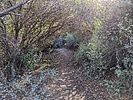 photo thumbnail #4