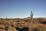photo thumbnail #2