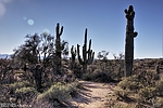 photo thumbnail #10