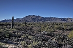 photo thumbnail #11