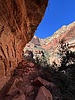 photo thumbnail #3