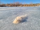 photo thumbnail #4