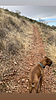 photo thumbnail #4
