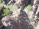 photo thumbnail #14