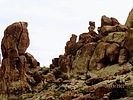 photo thumbnail #5