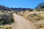 photo thumbnail #1