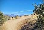 photo thumbnail #3