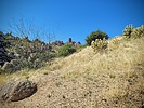 photo thumbnail #6