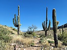 photo thumbnail #11