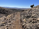 photo thumbnail #10