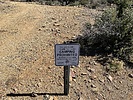recent photo