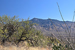 photo thumbnail #6
