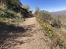 photo thumbnail #1
