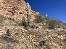 photo thumbnail #4