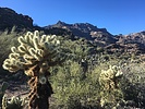 photo thumbnail #5