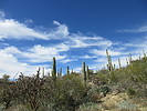 photo thumbnail #2