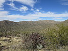 photo thumbnail #3