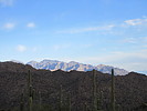 photo thumbnail #5