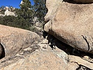 photo thumbnail #6