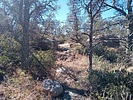 photo thumbnail #3