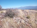 photo thumbnail #11