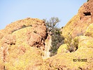 photo thumbnail #15
