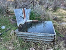 photo thumbnail #2