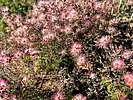 Featured Full Photo