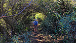 photo thumbnail #7